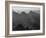 View With Shrub Detail In Foreground "Grand Canyon National Park" Arizona. 1933-1942-Ansel Adams-Framed Art Print