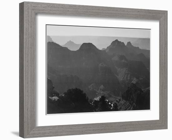 View With Shrub Detail In Foreground "Grand Canyon National Park" Arizona. 1933-1942-Ansel Adams-Framed Art Print