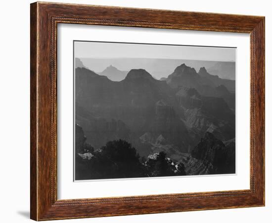 View With Shrub Detail In Foreground "Grand Canyon National Park" Arizona. 1933-1942-Ansel Adams-Framed Art Print