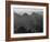 View With Shrub Detail In Foreground "Grand Canyon National Park" Arizona. 1933-1942-Ansel Adams-Framed Art Print