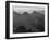 View With Shrub Detail In Foreground "Grand Canyon National Park" Arizona. 1933-1942-Ansel Adams-Framed Art Print