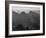 View With Shrub Detail In Foreground "Grand Canyon National Park" Arizona. 1933-1942-Ansel Adams-Framed Art Print