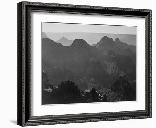 View With Shrub Detail In Foreground "Grand Canyon National Park" Arizona. 1933-1942-Ansel Adams-Framed Art Print