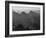 View With Shrub Detail In Foreground "Grand Canyon National Park" Arizona. 1933-1942-Ansel Adams-Framed Art Print