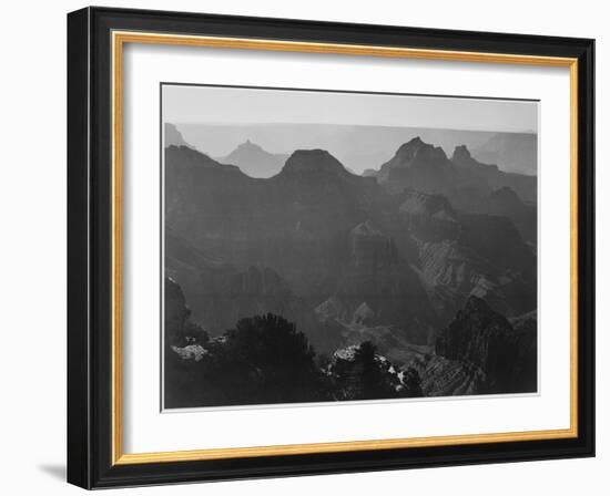 View With Shrub Detail In Foreground "Grand Canyon National Park" Arizona. 1933-1942-Ansel Adams-Framed Art Print