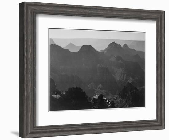 View With Shrub Detail In Foreground "Grand Canyon National Park" Arizona. 1933-1942-Ansel Adams-Framed Art Print