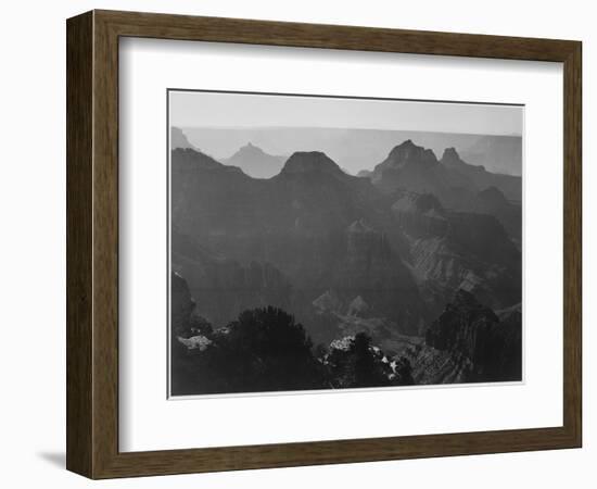 View With Shrub Detail In Foreground "Grand Canyon National Park" Arizona. 1933-1942-Ansel Adams-Framed Art Print