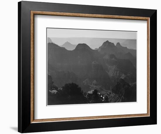 View With Shrub Detail In Foreground "Grand Canyon National Park" Arizona. 1933-1942-Ansel Adams-Framed Art Print