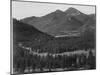 View With Trees In Foreground Barren Mountains In Bkgd "In Rocky Mountain NP" Colorado 1933-1942-Ansel Adams-Mounted Art Print