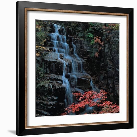 View-WizData-Framed Photographic Print