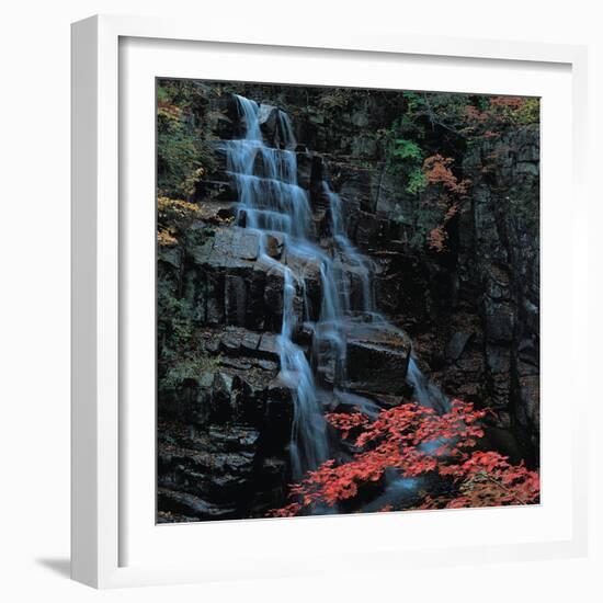 View-WizData-Framed Photographic Print