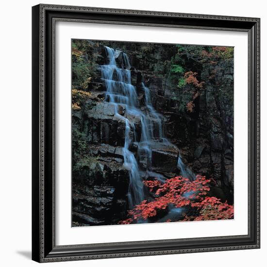 View-WizData-Framed Photographic Print