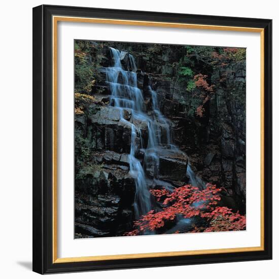 View-WizData-Framed Photographic Print