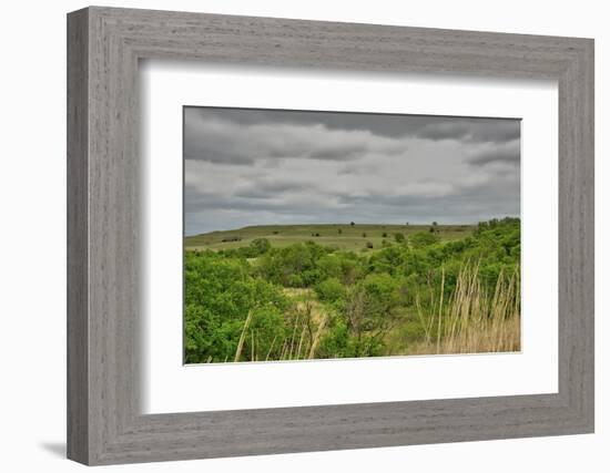 Viewing across some of the Flint Hills in Kansas-Michael Scheufler-Framed Photographic Print