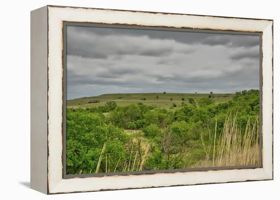 Viewing across some of the Flint Hills in Kansas-Michael Scheufler-Framed Premier Image Canvas