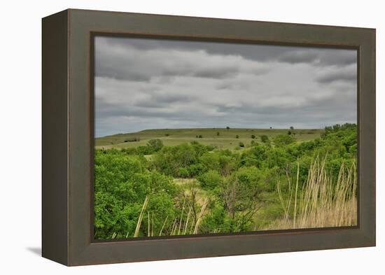 Viewing across some of the Flint Hills in Kansas-Michael Scheufler-Framed Premier Image Canvas