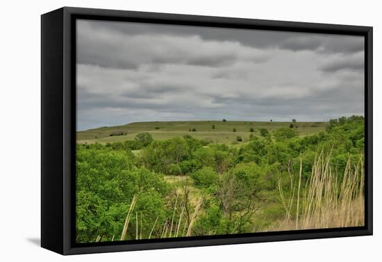Viewing across some of the Flint Hills in Kansas-Michael Scheufler-Framed Premier Image Canvas
