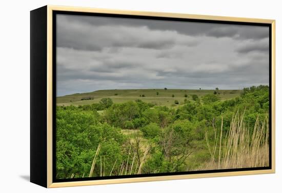 Viewing across some of the Flint Hills in Kansas-Michael Scheufler-Framed Premier Image Canvas