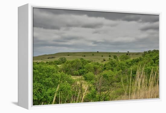 Viewing across some of the Flint Hills in Kansas-Michael Scheufler-Framed Premier Image Canvas