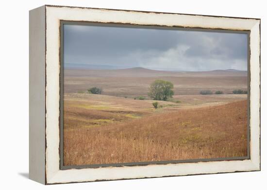 Viewing across some of the hills of Kansas-Michael Scheufler-Framed Premier Image Canvas