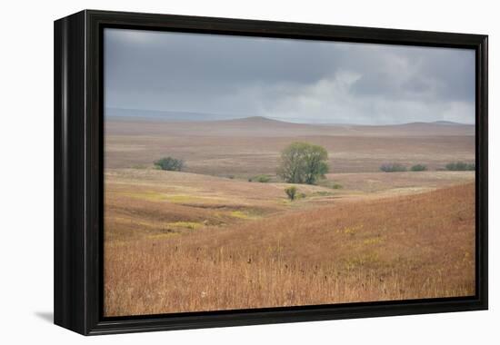 Viewing across some of the hills of Kansas-Michael Scheufler-Framed Premier Image Canvas