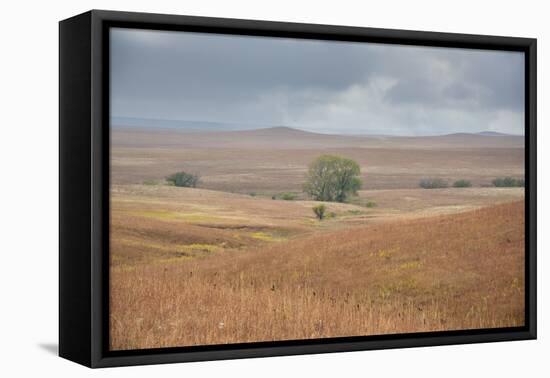 Viewing across some of the hills of Kansas-Michael Scheufler-Framed Premier Image Canvas