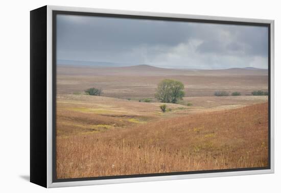 Viewing across some of the hills of Kansas-Michael Scheufler-Framed Premier Image Canvas