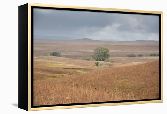 Viewing across some of the hills of Kansas-Michael Scheufler-Framed Premier Image Canvas