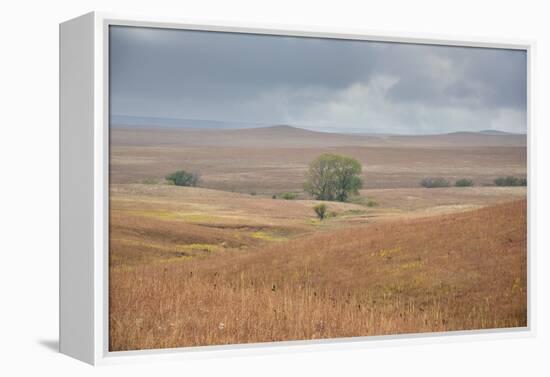 Viewing across some of the hills of Kansas-Michael Scheufler-Framed Premier Image Canvas