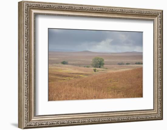 Viewing across some of the hills of Kansas-Michael Scheufler-Framed Photographic Print