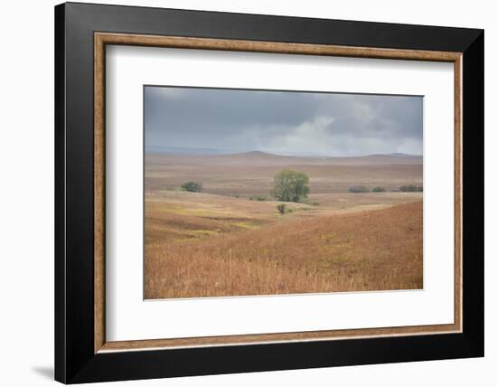Viewing across some of the hills of Kansas-Michael Scheufler-Framed Photographic Print