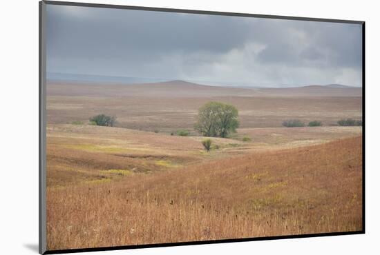 Viewing across some of the hills of Kansas-Michael Scheufler-Mounted Photographic Print
