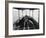 Viewing the Marine Gardens Through Bottom of Boat, Nassau, Bahamas, 1900-William Henry Jackson-Framed Photographic Print