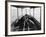 Viewing the Marine Gardens Through Bottom of Boat, Nassau, Bahamas, 1900-William Henry Jackson-Framed Photographic Print