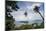 Viewpoint in Pulua Weh, Sumatra, Indonesia, Southeast Asia-John Alexander-Mounted Photographic Print