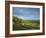 Viewpoint on Box Hill, 2012 Olympics Cycling Road Race Venue, View South over Brockham, Near Dorkin-John Miller-Framed Photographic Print