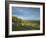 Viewpoint on Box Hill, 2012 Olympics Cycling Road Race Venue, View South over Brockham, Near Dorkin-John Miller-Framed Photographic Print