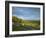 Viewpoint on Box Hill, 2012 Olympics Cycling Road Race Venue, View South over Brockham, Near Dorkin-John Miller-Framed Photographic Print