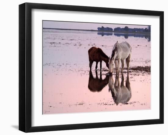 Views of Andalusia, Spain-Felipe Rodriguez-Framed Photographic Print