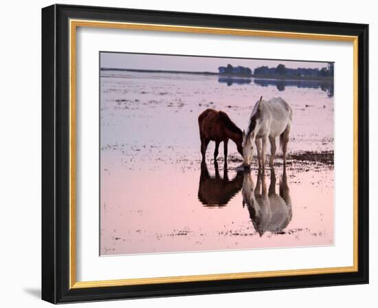 Views of Andalusia, Spain-Felipe Rodriguez-Framed Photographic Print