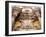 Views of Andalusia, Spain-Felipe Rodriguez-Framed Photographic Print