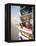 Views of Andalusia, Spain-Felipe Rodriguez-Framed Premier Image Canvas