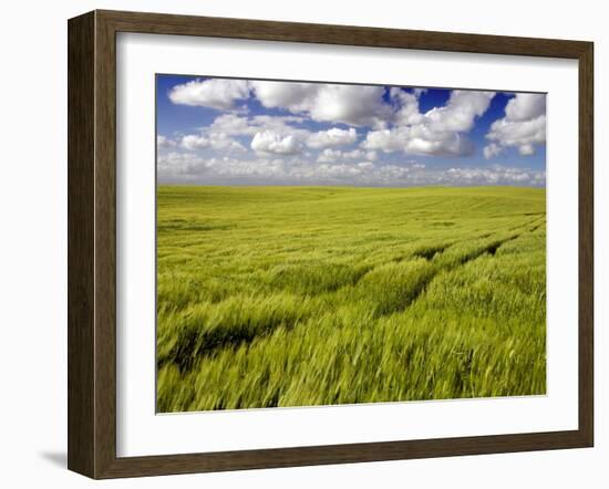 Views of Andalusia, Spain-Felipe Rodriguez-Framed Photographic Print