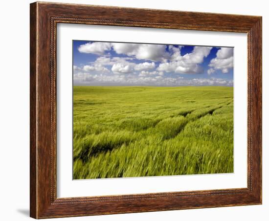 Views of Andalusia, Spain-Felipe Rodriguez-Framed Photographic Print