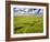 Views of Andalusia, Spain-Felipe Rodriguez-Framed Photographic Print