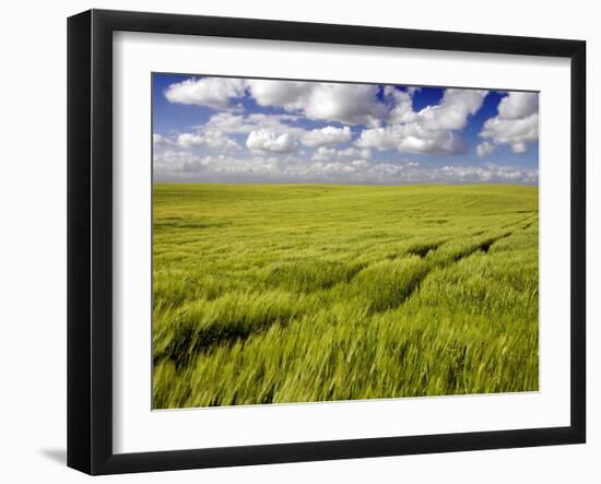 Views of Andalusia, Spain-Felipe Rodriguez-Framed Photographic Print