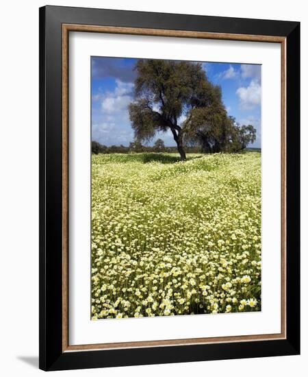 Views of Andalusia, Spain-Felipe Rodriguez-Framed Photographic Print