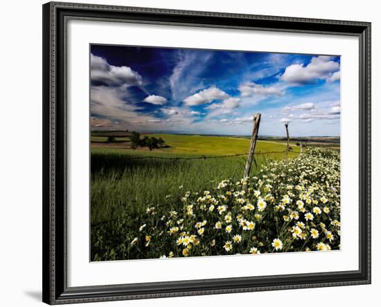 Views of Andalusia, Spain-Felipe Rodriguez-Framed Photographic Print