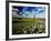 Views of Andalusia, Spain-Felipe Rodriguez-Framed Photographic Print