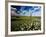 Views of Andalusia, Spain-Felipe Rodriguez-Framed Photographic Print